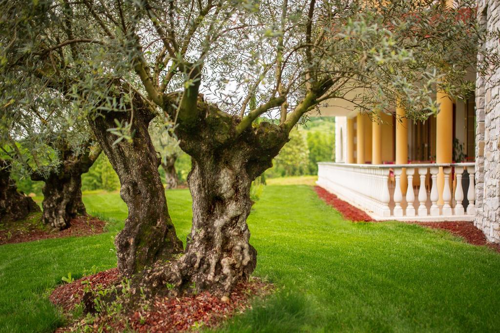 Hotel Venko Dobrovo Εξωτερικό φωτογραφία